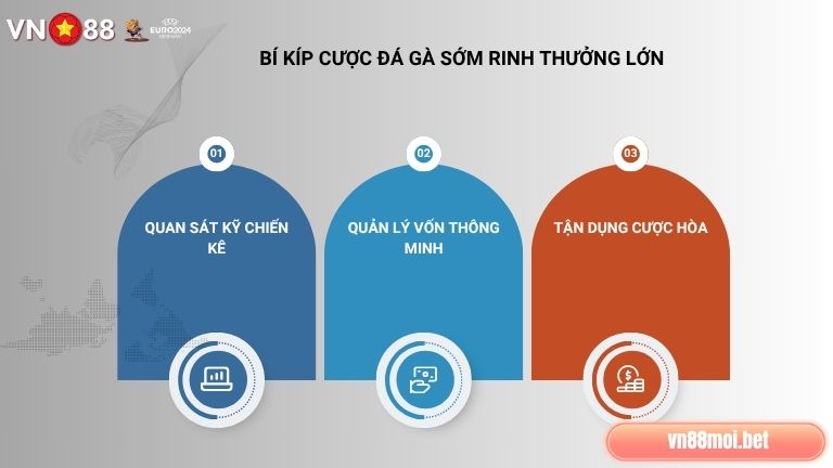 Muốn cược đá gà chuẩn xác anh em nên áp dụng triệt để một số bí kíp hay